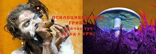 амфетамин Алексеевка